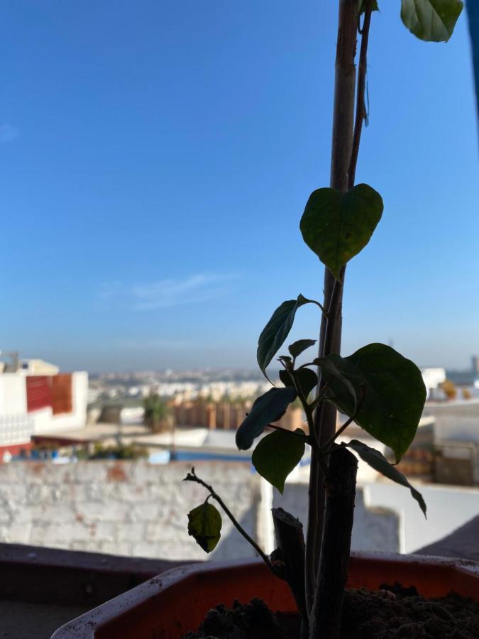 شقة الرباط  في House Albahara Oudayas المظهر الخارجي الصورة